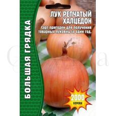 Лук репчатый Халцедон 1000 шт РЕДКИЕ СЕМЕНА