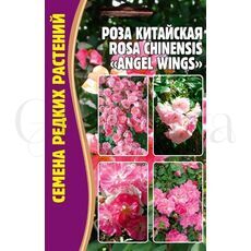Роза китайская (Rosa chinensis) Angel Wings  10 шт РЕДКИЕ СЕМЕНА