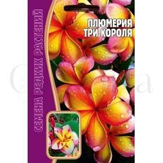 Плюмерия Три короля 3 шт РЕДКИЕ СЕМЕНА
