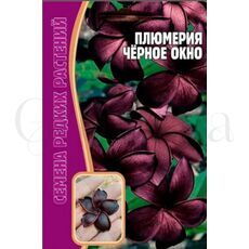 Плюмерия Черное Окно 3 шт РЕДКИЕ СЕМЕНА
