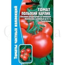 Томат Польский карлик 10 шт РЕДКИЕ СЕМЕНА