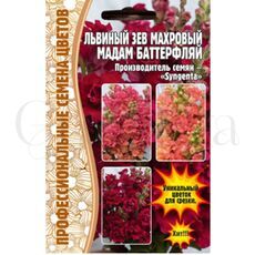Львиный  Зев Мадам Баттерфляй Три Цвета Бронзы 7 шт РЕДКИЕ СЕМЕНА