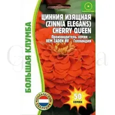 Цинния Черри Квин изящная РЕДКИЕ СЕМЕНА