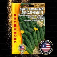 Огурец Бостонский Засолочный F1 15 шт (США) РЕДКИЕ СЕМЕНА