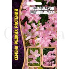 Рододендрон Шлиппенбаха 0,01 г РЕДКИЕ СЕМЕНА