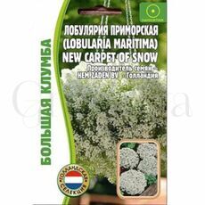 Алисум Лобулярия  New Carpet of Snow 500 шт РЕДКИЕ СЕМЕНА