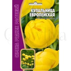 Купальница Европейская 20 шт РЕДКИЕ СЕМЕНА