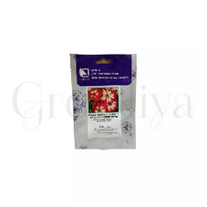 Петуния  грандифлора Кан Кан Арлекин Черри Роуз 100 шт  ПОИСК