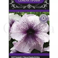 Петуния грандифлора Призм Синие жилки 30 шт ПОИСК