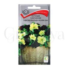 Петуния гибридная Софистика Блекберии энд Лайм Грин 5 шт ПОИСК