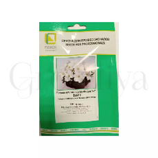 Петуния мультифлора Мамбо Джи Пи Вайт 100 шт ПОИСК