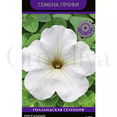 Петуния  кр цв Танго Белая 15 шт ПОИСК