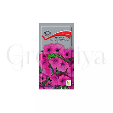 Петуния ампельная Опера Парпл 5 шт ПОИСК