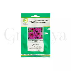 Петуния бахромчатая Эспрессо Фраппе Роуз 100 шт ПОИСК