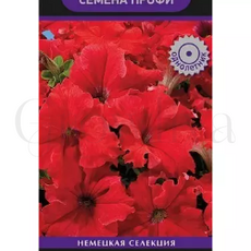 Петуния грандифлора Аладдин Красная 30 шт ПОИСК