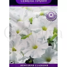 Петуния грандифлора Аладдин Белая 30 шт ПОИСК