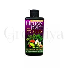 GT House plant Focus для комнатных растений 100 мл