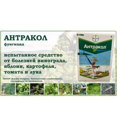 Антракол 1 кг (фасовка)