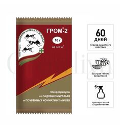 Гром-2 от муравьев и комнатных мушек 10 г