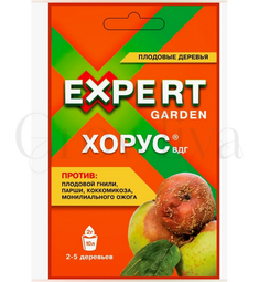 Хорус Системный фунгицид 2 г