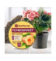 БиоМастер Почвобрикет Бегония круглый 2,5 л