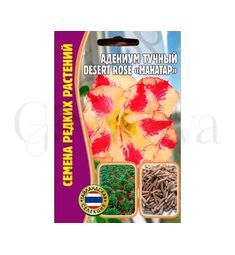 Адениум Тучный Desert rose  MAHATAP  3 шт РЕДКИЕ СЕМЕНА