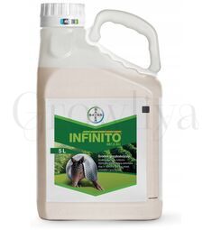 Инфинито 5 л