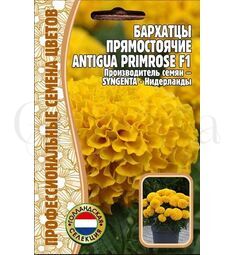 Бархатцы прямостоячие Antigua Primrose F1 5 шт РЕДКИЕ СЕМЕНА