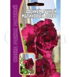Адениум Малиновый десерт 3 шт РЕДКИЕ СЕМЕНА