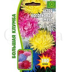 Астра Коготковая смесь 200 шт РЕДКИЕ СЕМЕНА