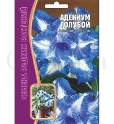 Адениум Голубой 3 шт РЕДКИЕ СЕМЕНА
