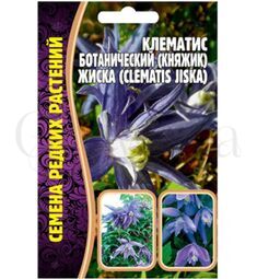Клематис ботанический (княжик) Жиска 3 шт РЕДКИЕ СЕМЕНА