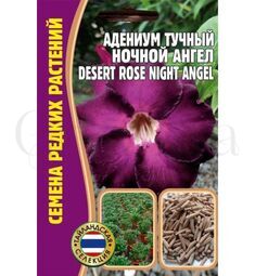 Адениум Тучный Ночной ангел 3 шт РЕДКИЕ СЕМЕНА