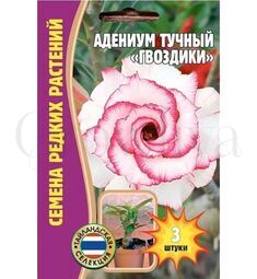 Адениум Тучный Гвоздики 3 шт РЕДКИЕ СЕМЕНА