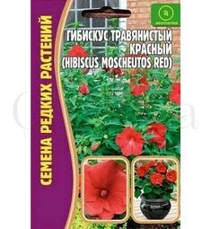 Гибискус Травянистый Красный 5 шт РЕДКИЕ СЕМЕНА
