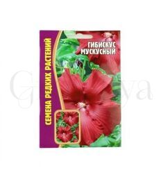Гибискус Мускусный 5 шт РЕДКИЕ СЕМЕНА