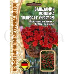 Бальзамин Уоллера   Lollipop F1  CHERRY RED 5 шт РЕДКИЕ СЕМЕНА