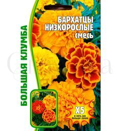 Бархатцы Низкорослые Смесь 100 шт РЕДКИЕ СЕМЕНА