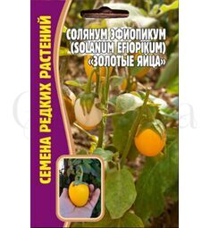 Солянум Эфиопикум Золотые яйца  12 шт РЕДКИЕ СЕМЕНА
