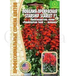 Лобелия Старшип Скарлет прекрасная 3 шт РЕДКИЕ СЕМЕНА