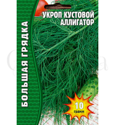 Укроп Аллигатор 2500 шт РЕДКИЕ СЕМЕНА