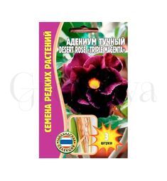 Адениум тучный Desert rose Triple Magenta 3 шт РЕДКИЕ СЕМЕНА