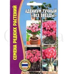 Адениум тучный Все звезды 3 шт РЕДКИЕ СЕМЕНА
