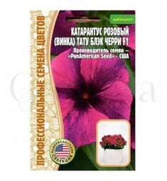 Катарантус (Винка) Тату Блэк Черри розовый F1 5 шт РЕДКИЕ СЕМЕНА