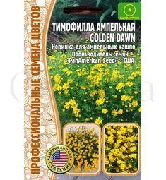 Тимофилла ампельная Голден Дав 15 шт РЕДКИЕ СЕМЕНА