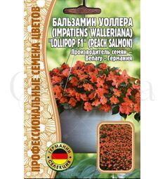 Бальзамин Уоллера Lollipop F1 Peach Salmon 5 шт РЕДКИЕ СЕМЕНА