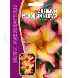 Адениум Медовый нектар 3 шт РЕДКИЕ СЕМЕНА