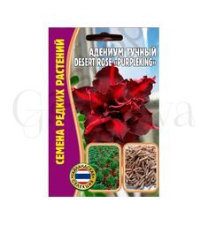Адениум Тучный Desert rose  PURPLEKING  3 шт РЕДКИЕ СЕМЕНА