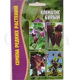 Клематис Бурый 4 шт РЕДКИЕ СЕМЕНА
