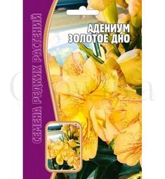 Адениум Золотое дно 3 шт РЕДКИЕ СЕМЕНА